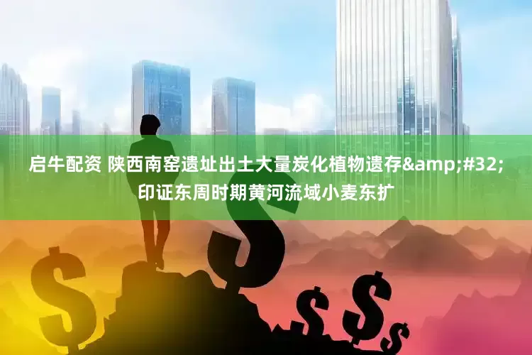 启牛配资 陕西南窑遗址出土大量炭化植物遗存&#32;印证东周时期黄河流域小麦东扩