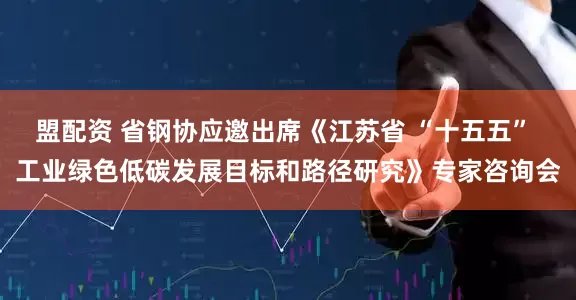 盟配资 省钢协应邀出席《江苏省 “十五五” 工业绿色低碳发展目标和路径研究》专家咨询会