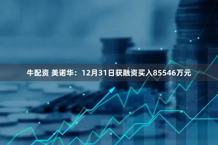 牛配资 美诺华：12月31日获融资买入85546万元