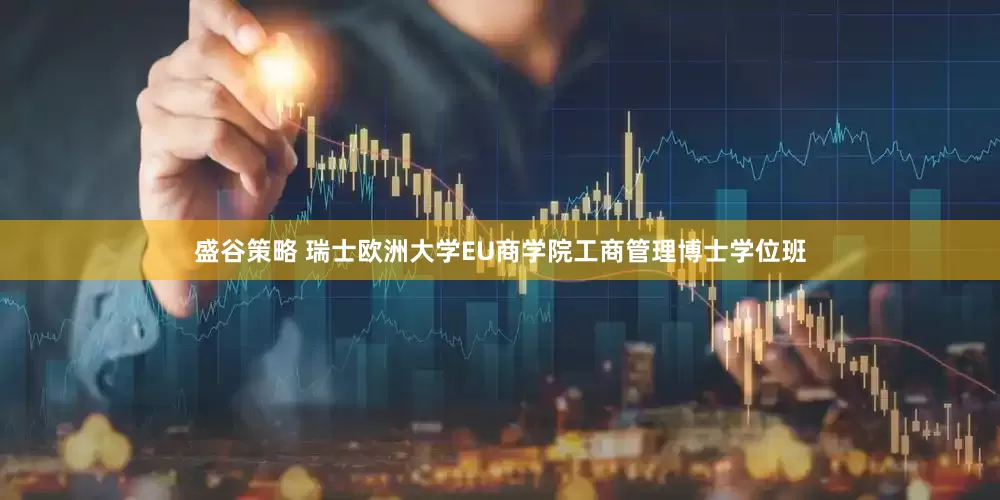 盛谷策略 瑞士欧洲大学EU商学院工商管理博士学位班