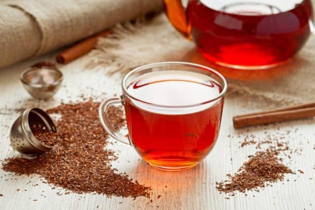 The origins of the ancient African red tea