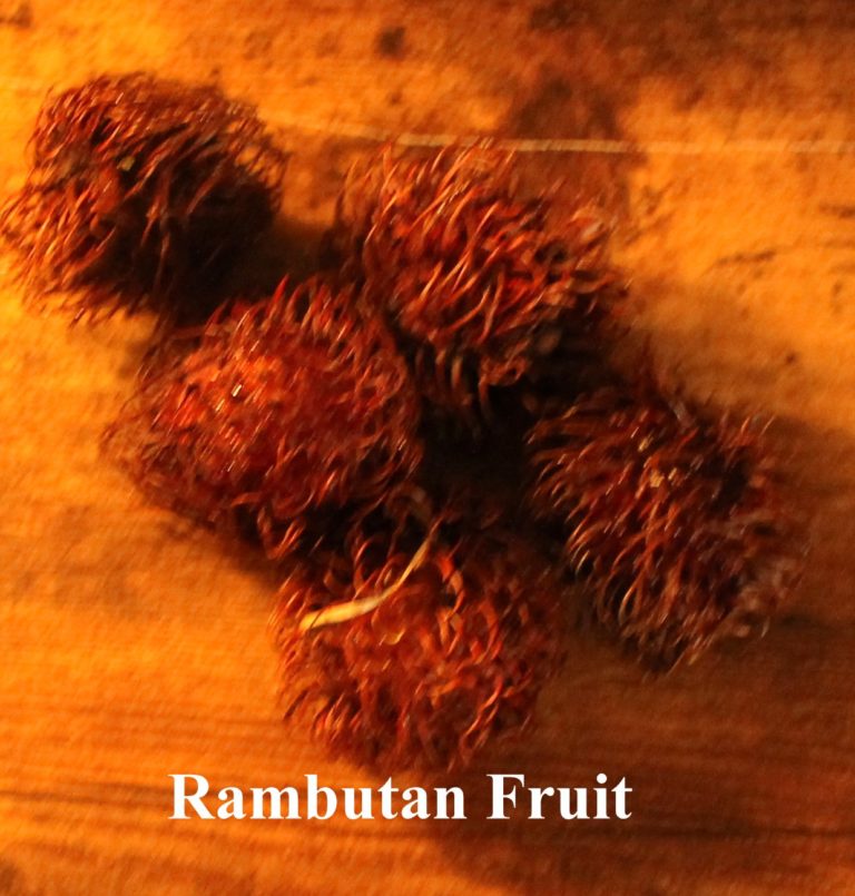 So, you want to Plant a Rambutan Seed?